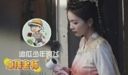 白鹿黑粉爆料视频大全最新,视频大全背后的真相与争议